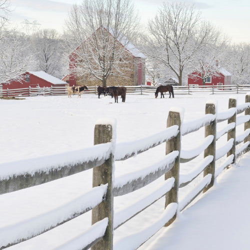 Feeding Success in the New Year: Farming and Livestock Care Resolutions