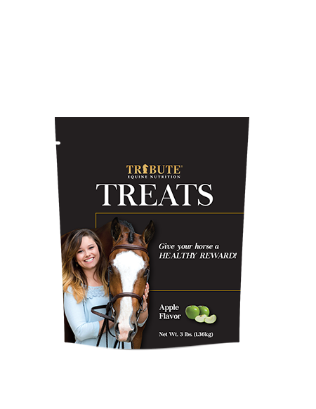 Tribute® Apple Horse Treats (3 lbs)