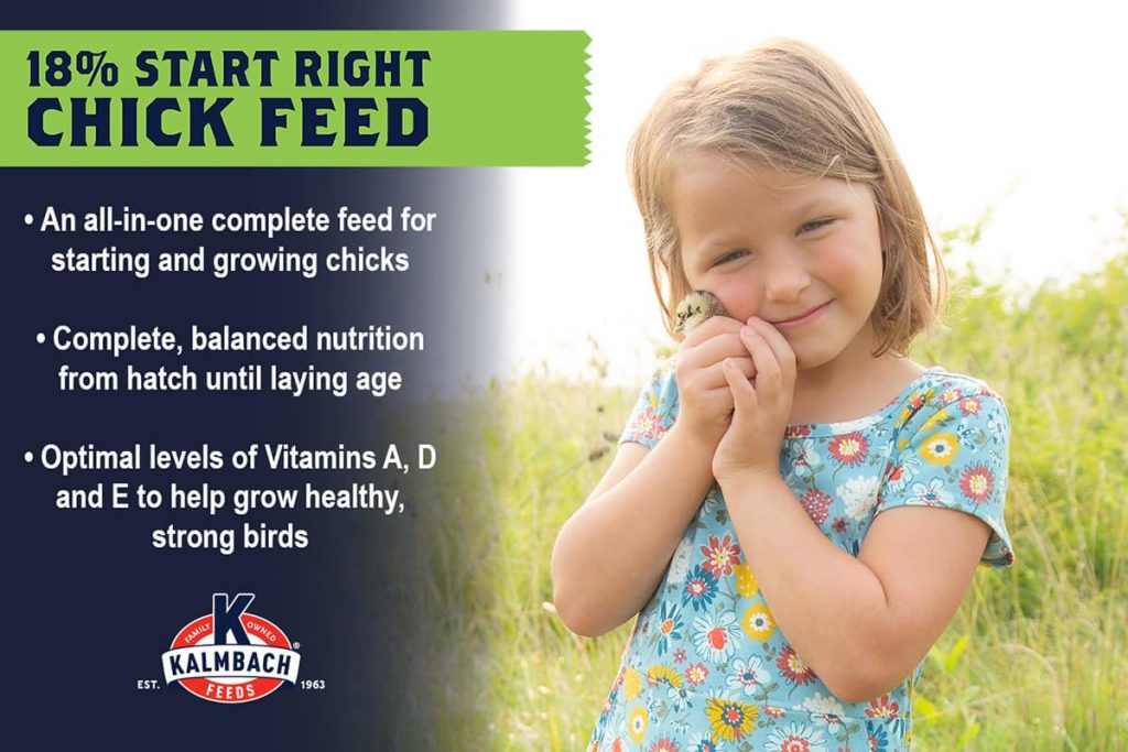 Kalmbach 18% Start Right® Chick Feed (Non-Medicated) (10 Lb.)