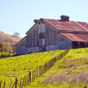 Spring on the Farm