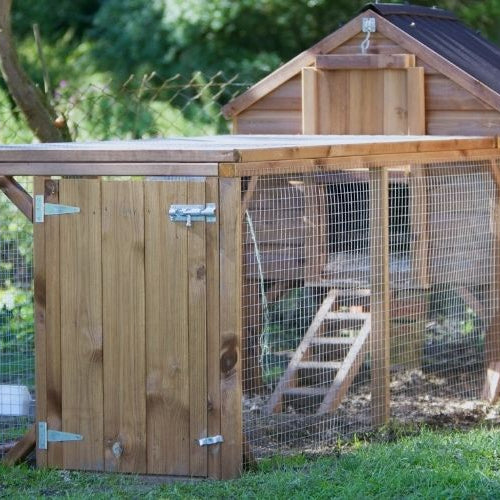 How to Build a Chicken Coop