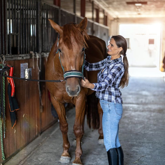 Basic Horse Care Guide for Beginners [Daily Checklist]