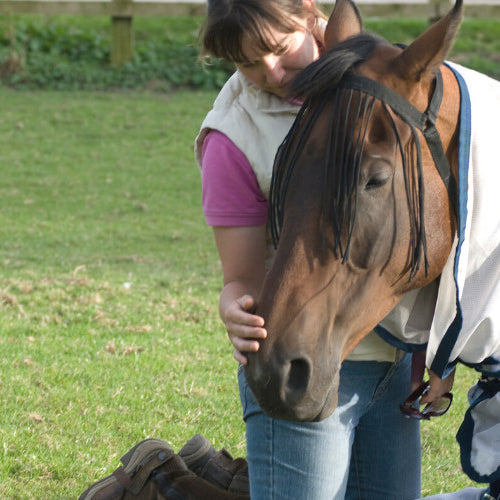 Dealing With Colic in Horses