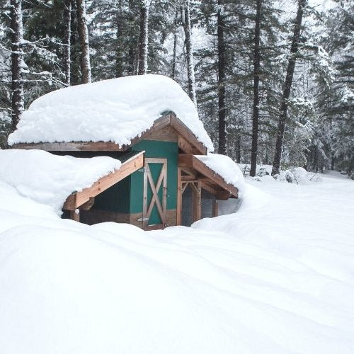 Winterize Your Chicken Coop