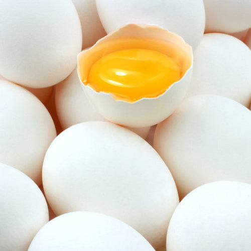 Increasing Shell Strength in Chicken Eggs