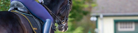 Energy Sources for Competition Horses