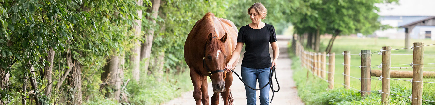 How Horse Feeds Affect Emotional Health