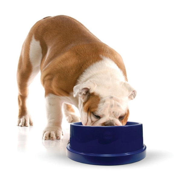 K&H Pet Products Blue Coolin' Pet Bowl