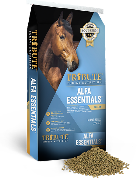 Tribute Alfa Essentials® (50 lbs)