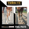 Tribute Foal Paste Nutrient & Probiotic-Packed Supplement