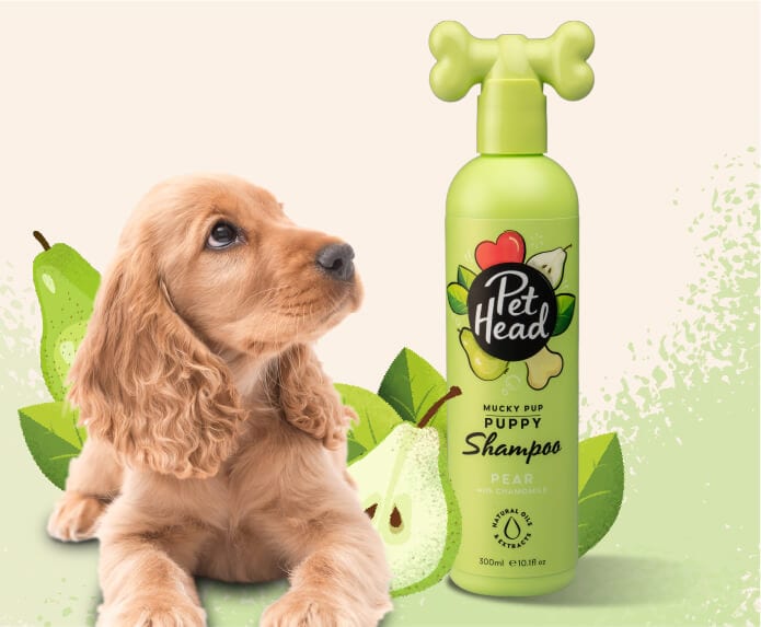 Pet Head Mucky Pup Puppy Shampoo Pear for Dogs (16 oz)