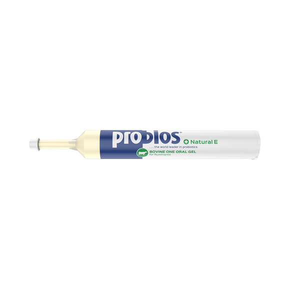 Probios® Bovine One Oral Gel +Natural E