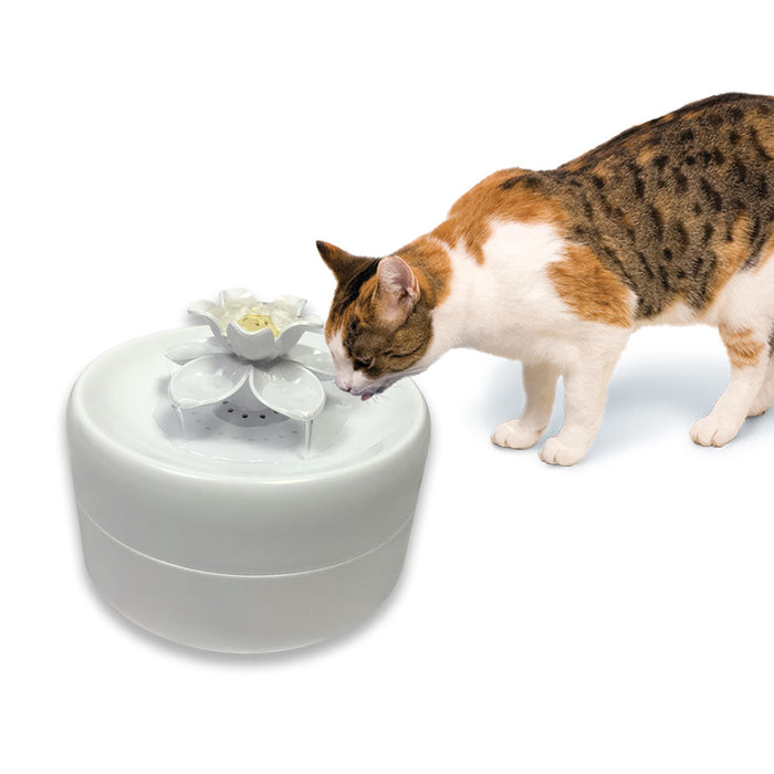 Pioneer Pet Magnolia Premium Plastic Drinking Fountain (55 oz)