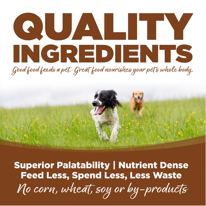 NutriSource® Large Breed Lamb Meal & Rice Recipe Dog Food