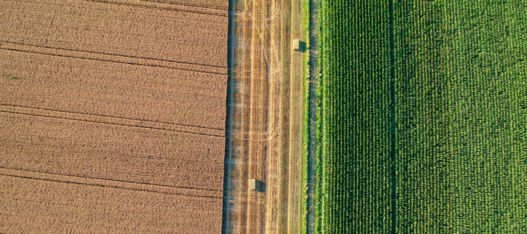 An arial view of a half harvested crop field.
