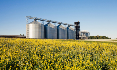 Silos on a clear day.