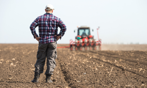 A farmer standing in a pasture on a clear day watching a tractor.