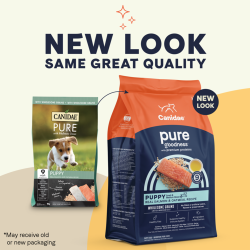 Canidae PURE with Wholesome Grains, Limited Ingredient Dry Puppy Food, Salmon and Oatmeal (24 Lb.)