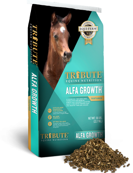 Kalmbach Alfa Growth® Textured Feed