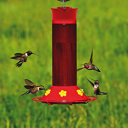 Perky-Pet® Hummer’s Favorite Plastic Hummingbird Feeder - 30 oz Nectar Capacity (30-oz capacity)
