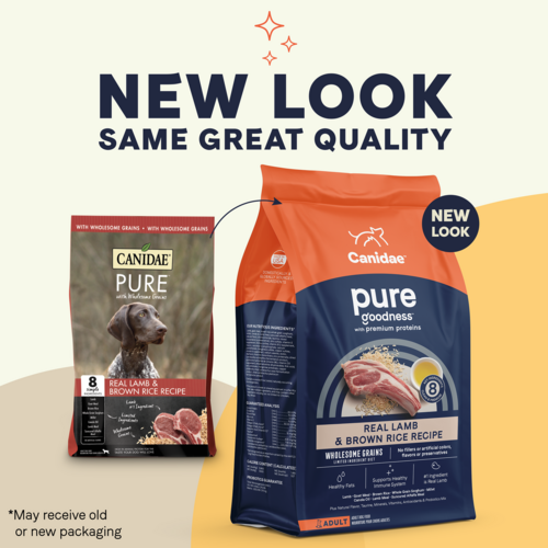 Canidae PURE with Wholesome Grains, Limited Ingredient, Dry Dog Food, Lamb and Brown Rice (24 Lb.)