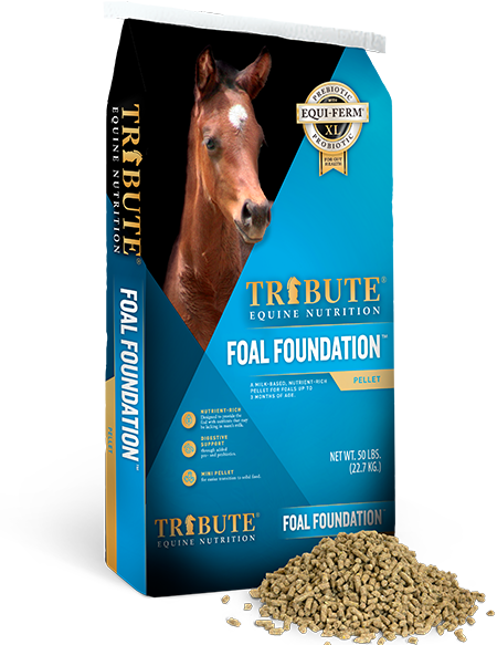 Tribute Foal Foundation™ (50 lbs)