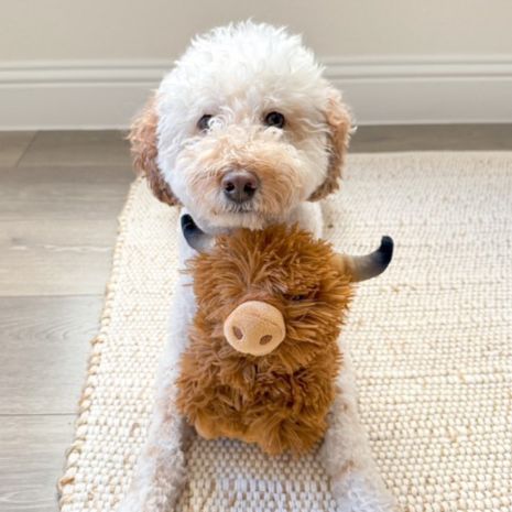 Tall Tails Highland Cow with Squeaker Dog Toy