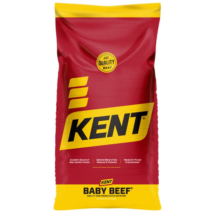 Kent 34% Baby Beef