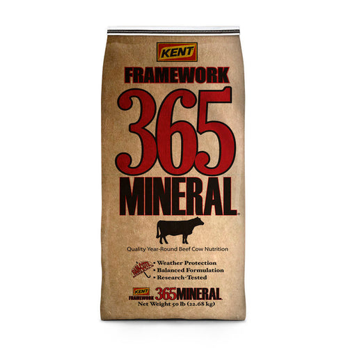 Kent Framework 365 Mineral Pasture Breeder Aide