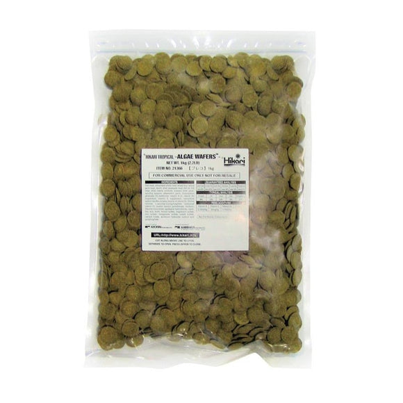 HIKARI ALGAE WAFERS