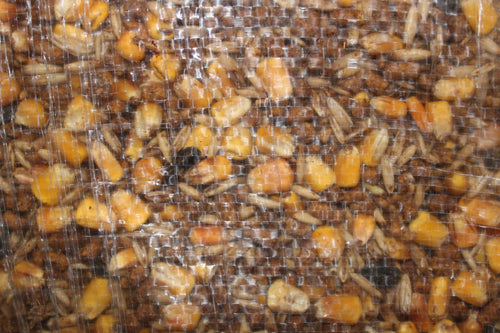 TCF 16% Goat AN w/Ammonium Chloride