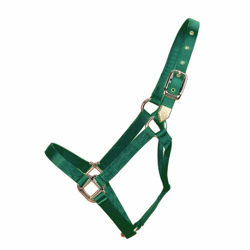 Hamilton 1 Draft Deluxe Nylon Halters Dark Green