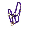 Hamilton 3/4 Miniature Deluxe Nylon Halters with Adjustable Chin Strap