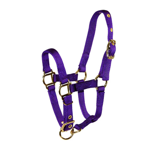Hamilton 3/4 Miniature Deluxe Nylon Halters with Adjustable Chin Strap