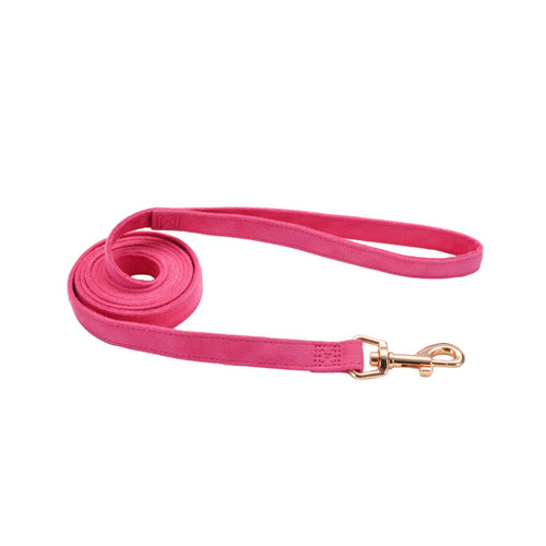 Accent Microfiber Dog Leash