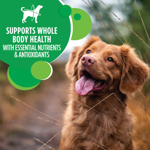 IAMS™ Adult Minichunks