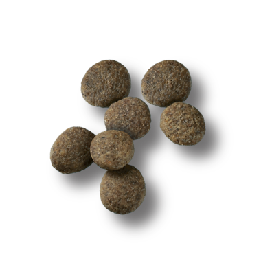 Pro Plan Sensitive Skin & Stomach Salmon & Rice Large Breed Probiotic Dry Puppy Food