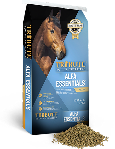 Tribute Alfa Essentials®