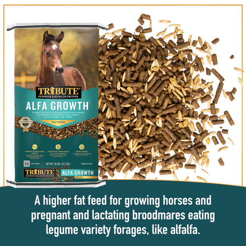 Tribute Alfa Growth® Textured