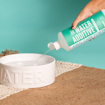 Skout's Honor Oral Care Water Additive - Peanut Butter & Bacon Flavor