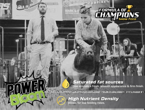 Kalmbach Power Bloom®