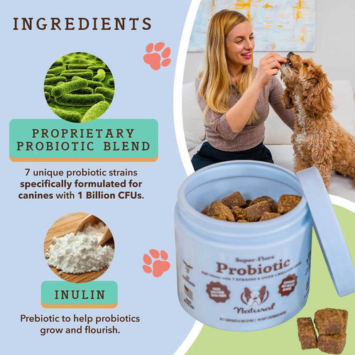 Natural Dog Company Super-Flora Probiotic Supplement