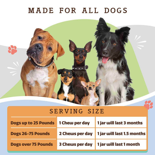 Natural Dog Company Super-Flora Probiotic Supplement