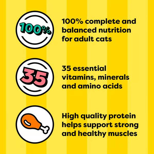 Temptations Tasty Chicken and Seafood Medley Paté in Gravy Flavor Variety Pack Wet Cat Food