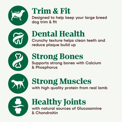 Nutro Large Breed Adult Lamb & Brown Rice Recipe Dry Dog Food