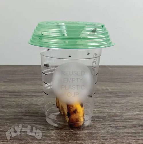 Billy Bob Fly Lid
