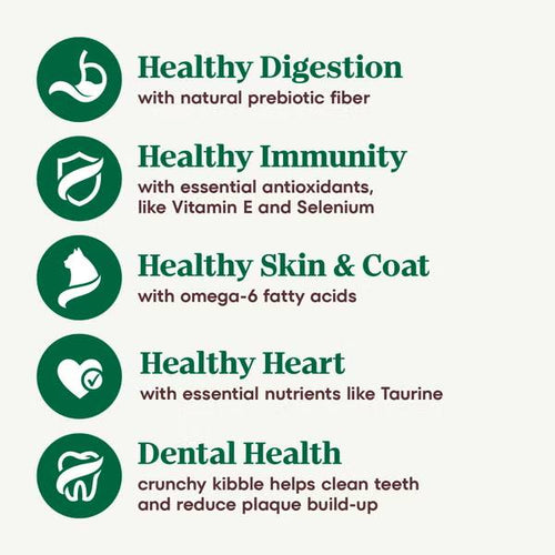 Nutro Wholesome Essentials Adult Dry Cat Food Salmon & Brown Rice Recipe