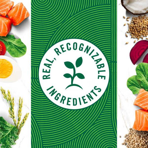 Nutro Wholesome Essentials Adult Dry Cat Food Salmon & Brown Rice Recipe