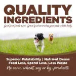 NutriSource® Large Breed Beef Meal & Barley Recipe Healthy Affordable Dry Dog Food