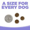NutriSource® Puppy Chicken Meal & Barley Recipe Healthy Affordable Puppy Dry Food